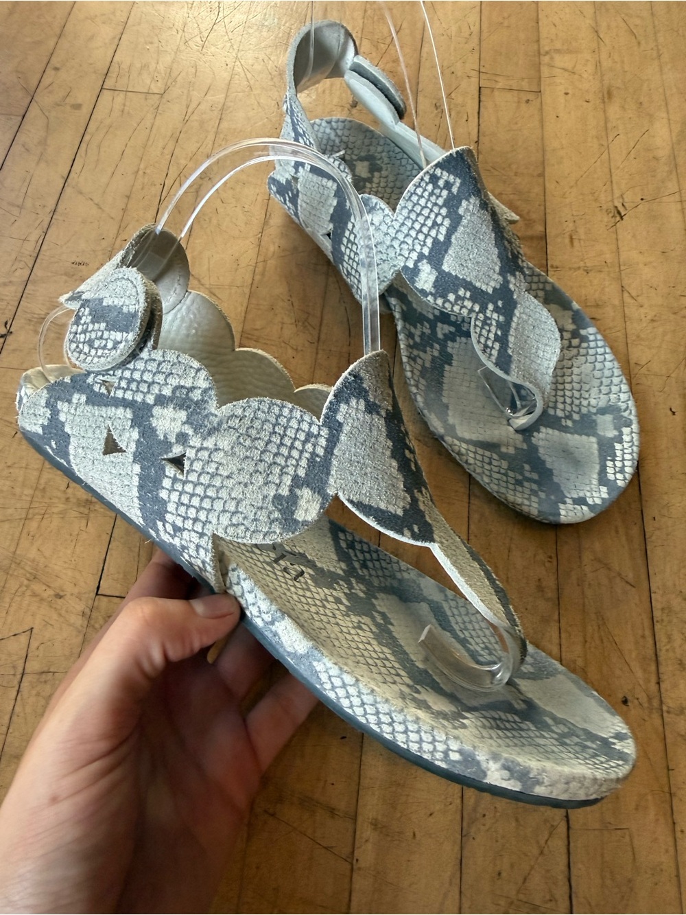 PEDRO GARCIA Snake Print Thong Sandals Flip Flops Velcro Slingback Jamee 38